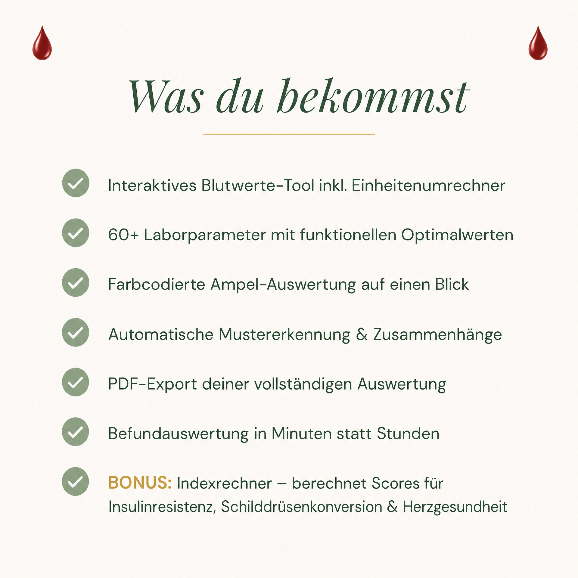 Blutwerte Tool – Bild 2