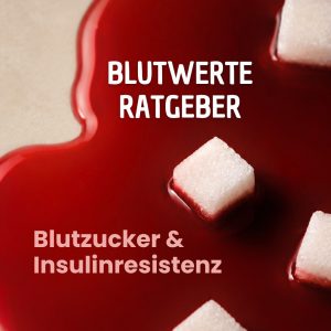 Insulinresistenz Guide
