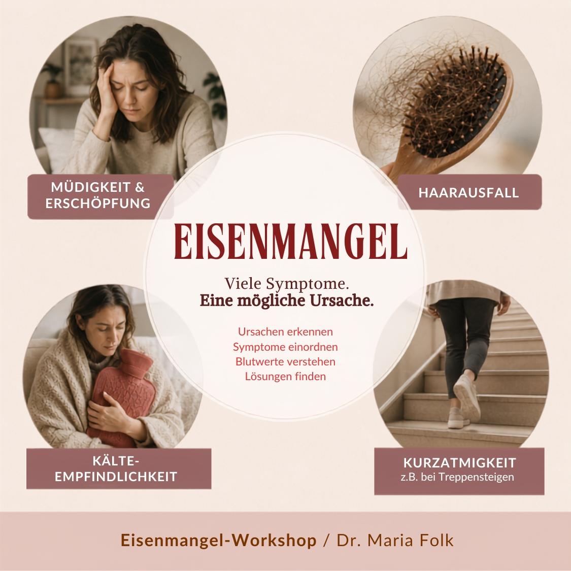 Eisenmangel Workshop